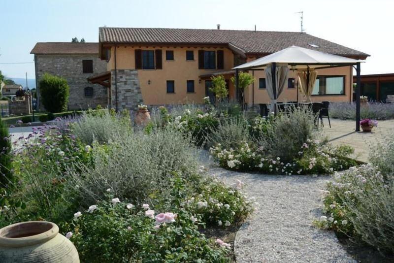 Il Fienile Di Assisi image