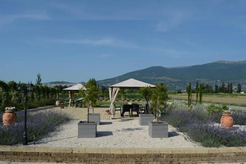 Il Fienile Di Assisi image