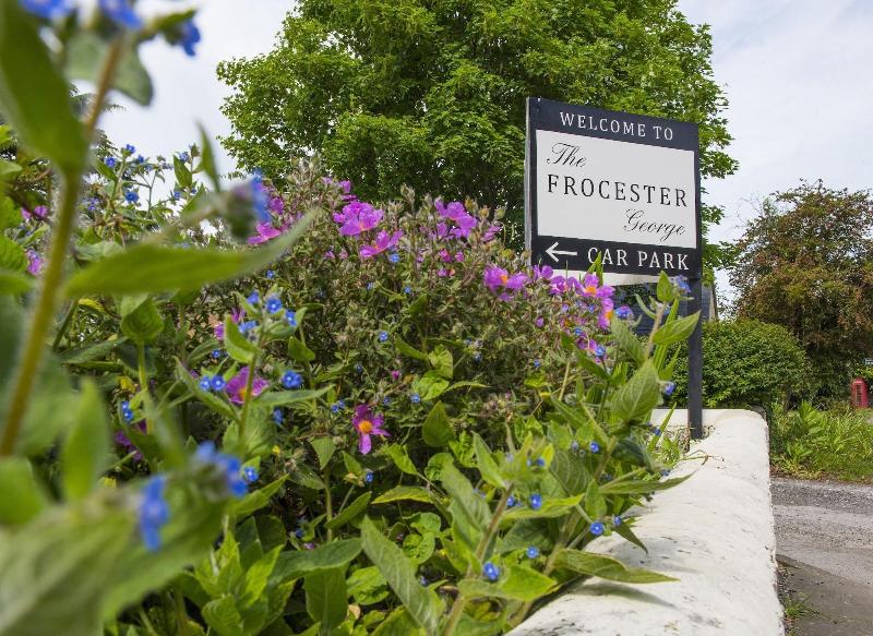 The Frocester George image