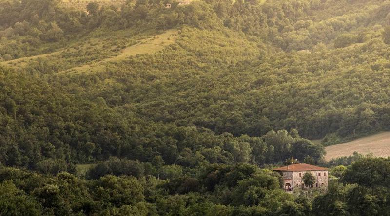 Agriturismo Pomonte image