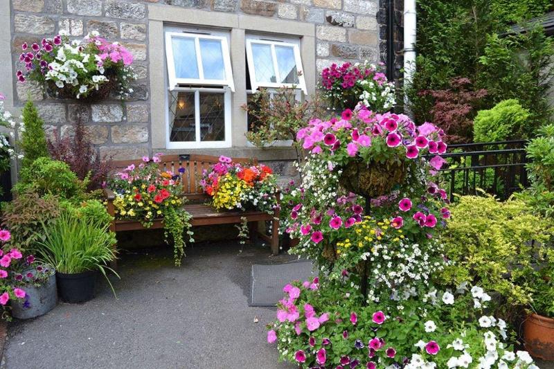 The Old Bell Inn image