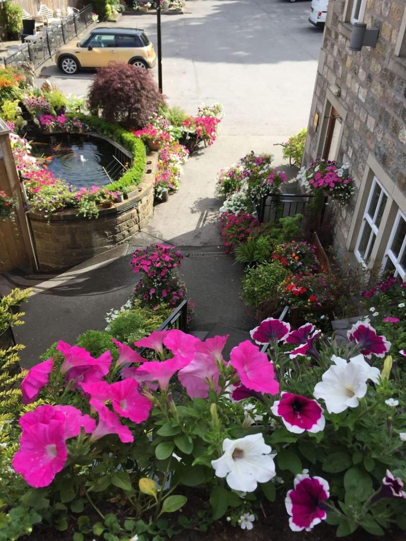 The Old Bell Inn image