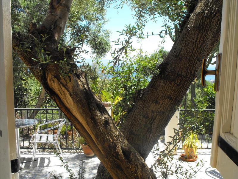 Hotel Paola image