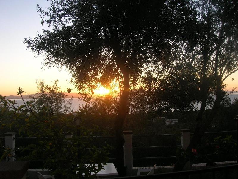 Hotel Paola image