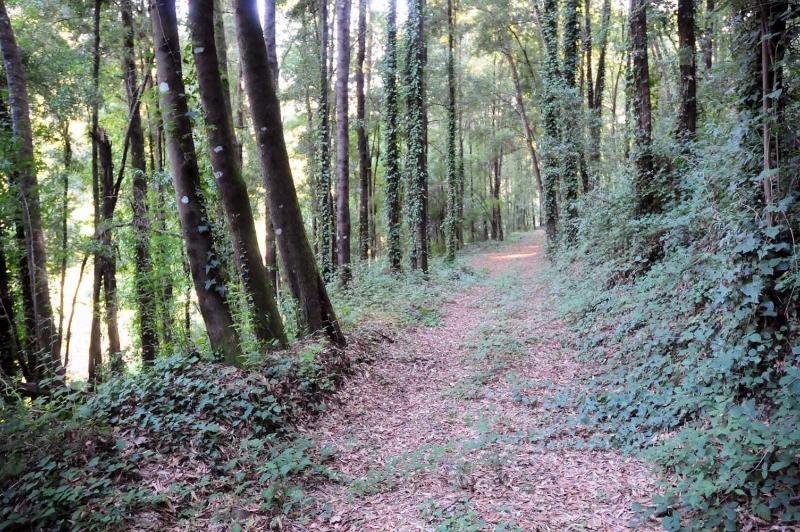 Quinta Das Escomoeiras image