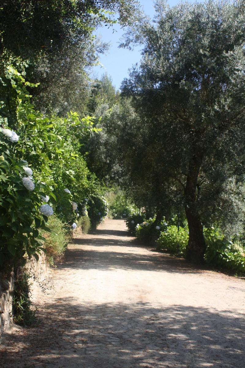 Quinta Das Escomoeiras image