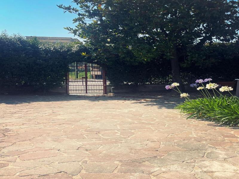 B&B La Ginestra image
