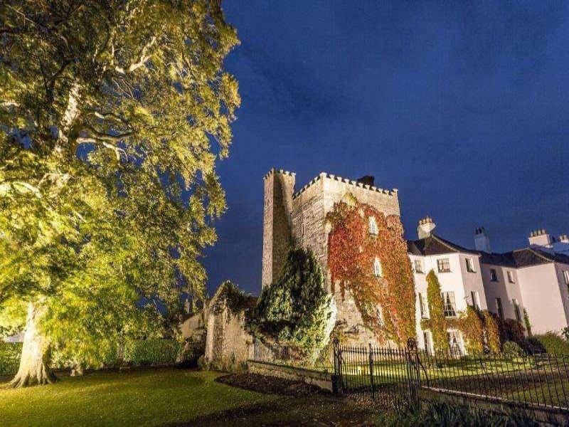 Barberstown Castle image