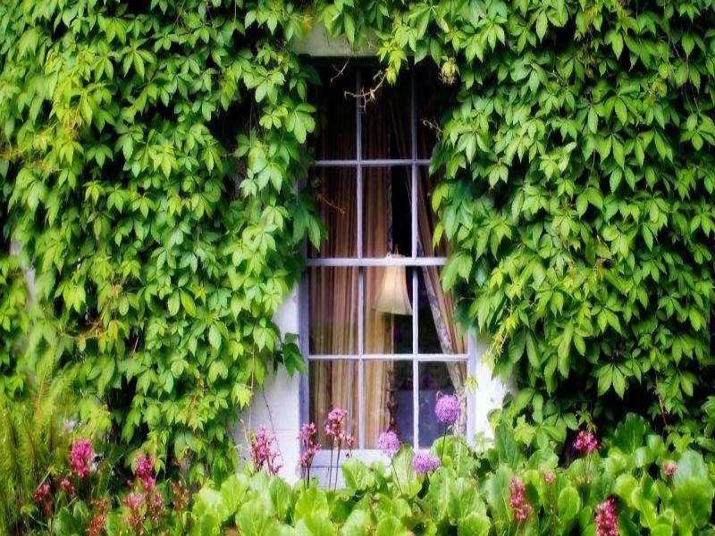 Barberstown Castle image