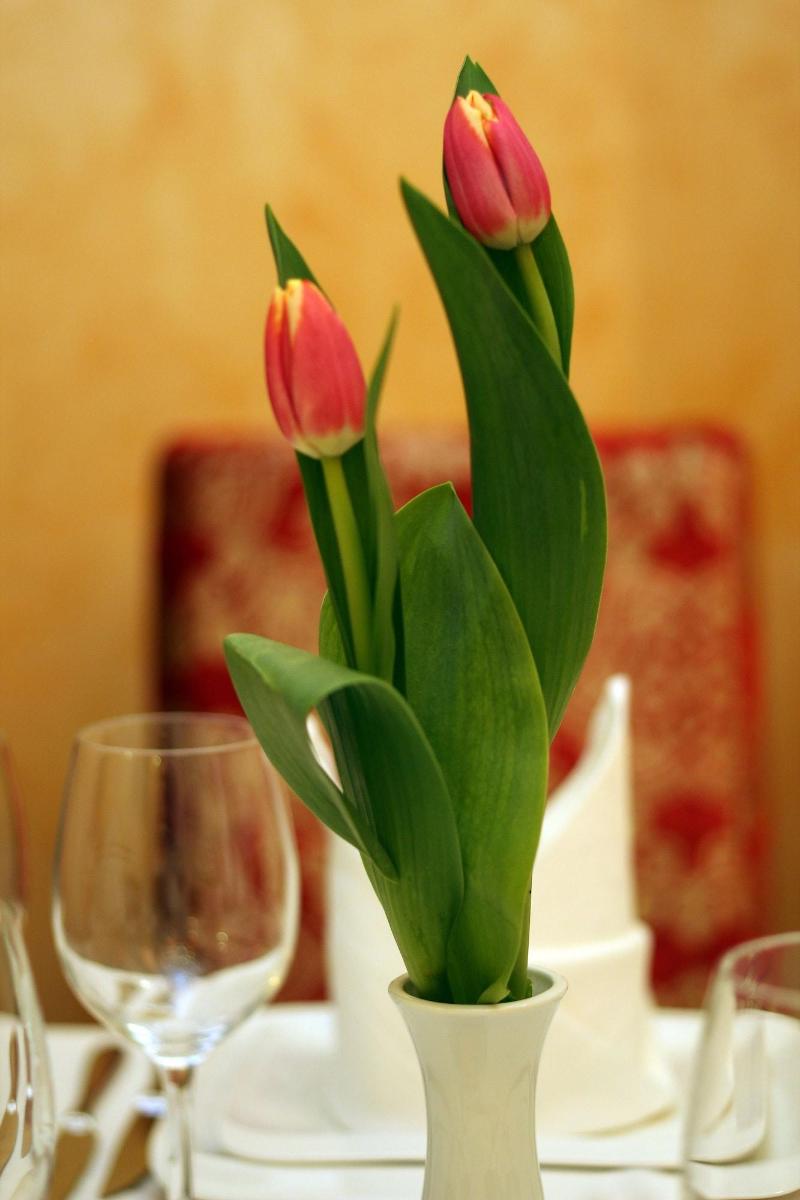 Hotel Boutique Restorant Gloria image