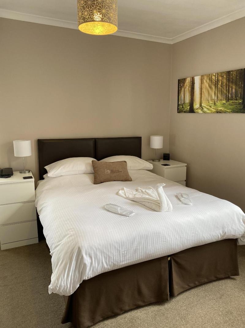 The Swan Hotel image