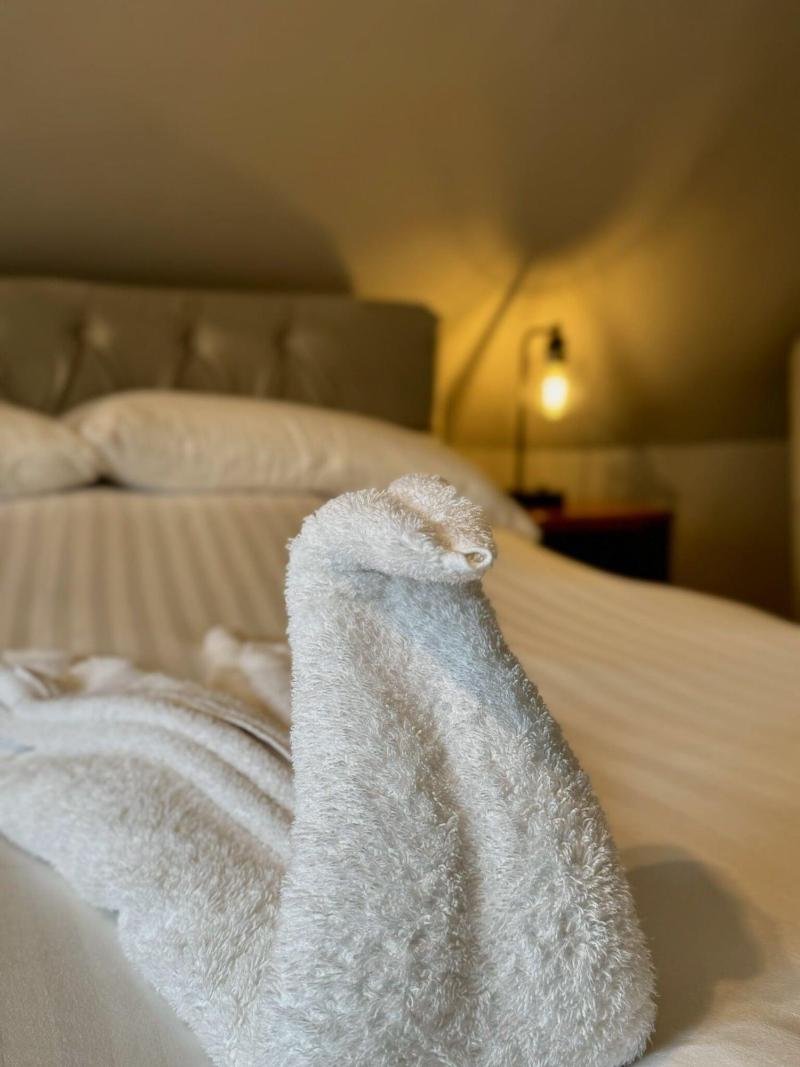The Swan Hotel image