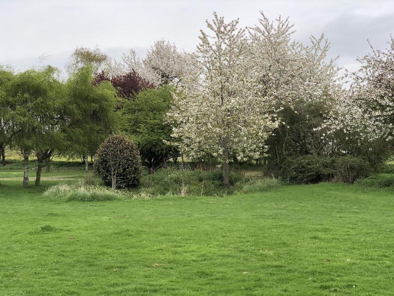 Sibton White Horse Inn image
