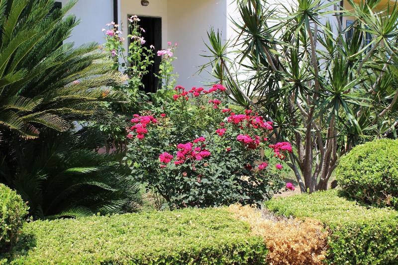 B&B Il Cavaliere image