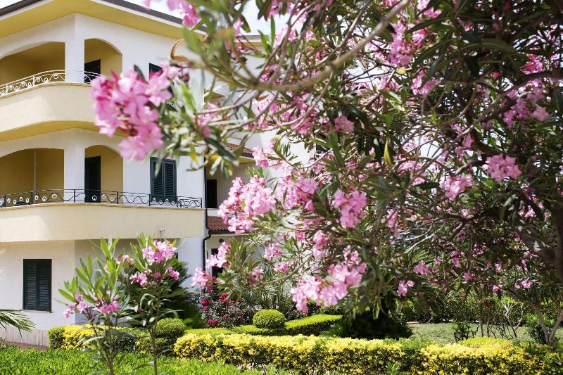 B&B Il Cavaliere image