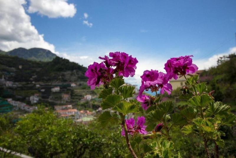 B&B La Zagara - Image 2