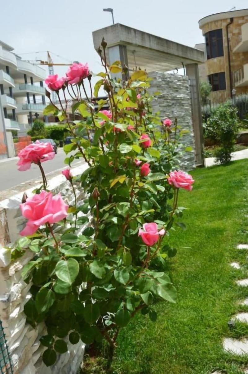 B&B La Rosa dei Venti image
