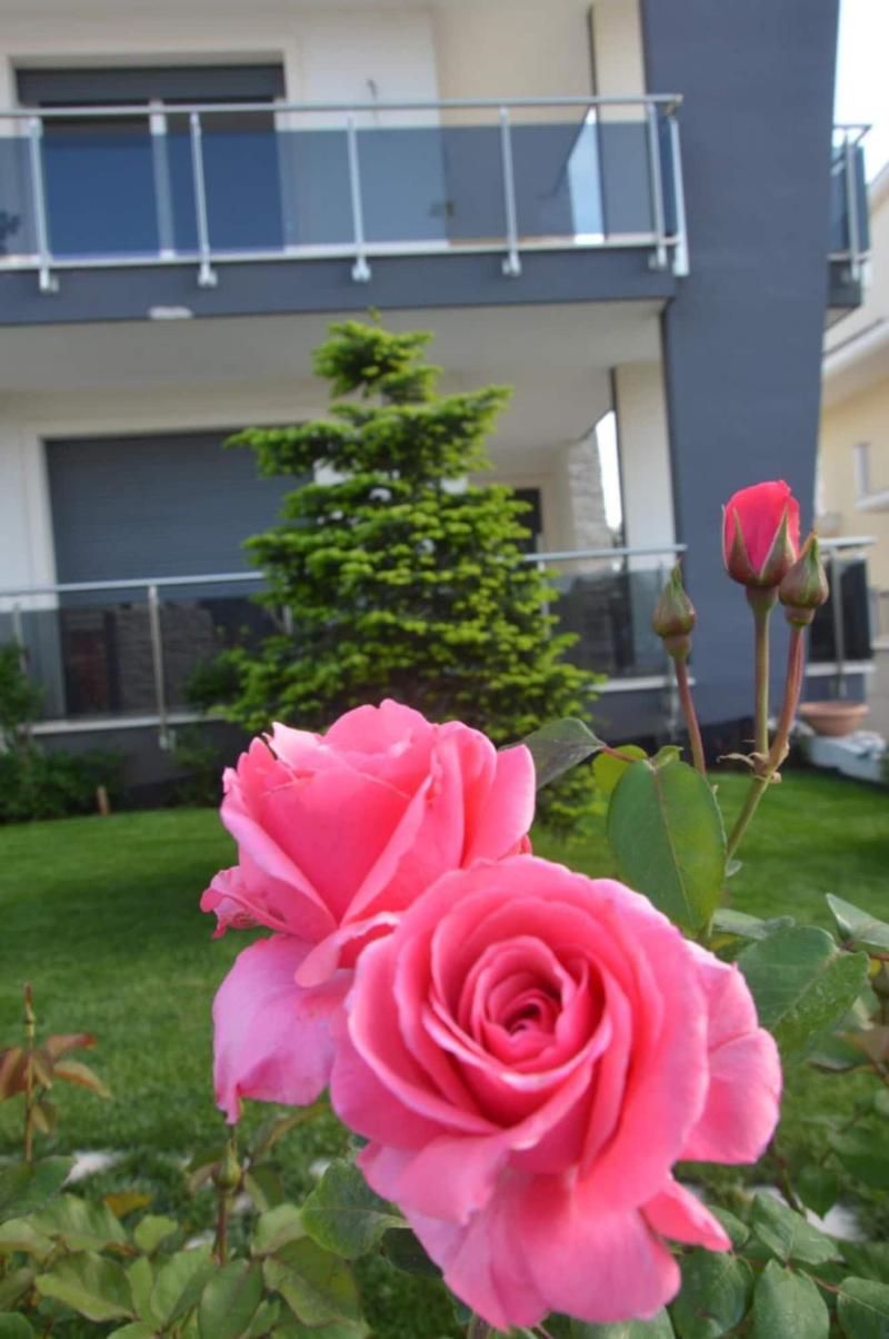 B&B La Rosa dei Venti image
