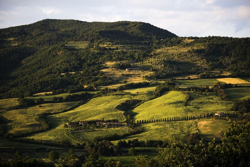 Agriturismo Casale Le Crete image