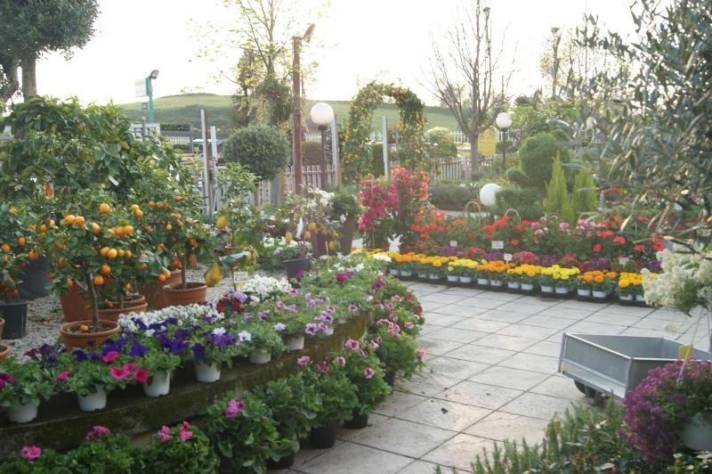 Residenza I Ciclamini image