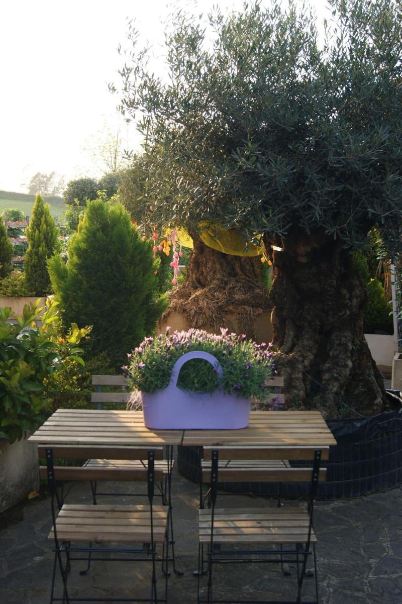 Residenza I Ciclamini image