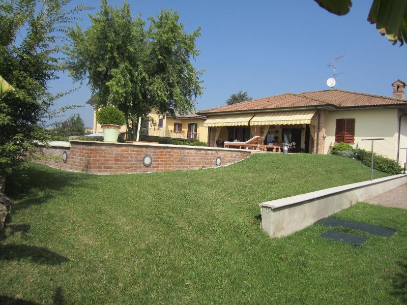 Marinella B image