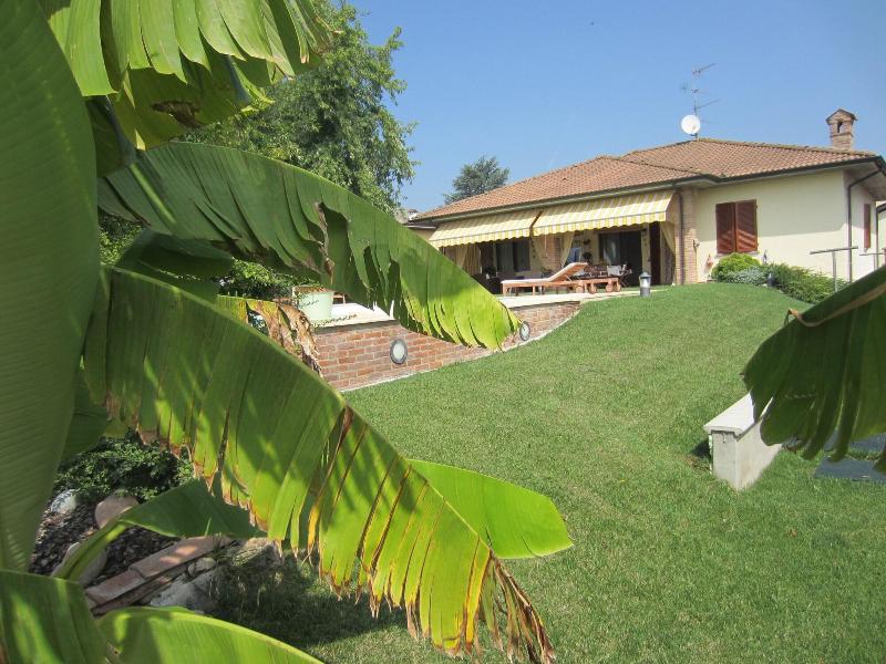 Marinella B image