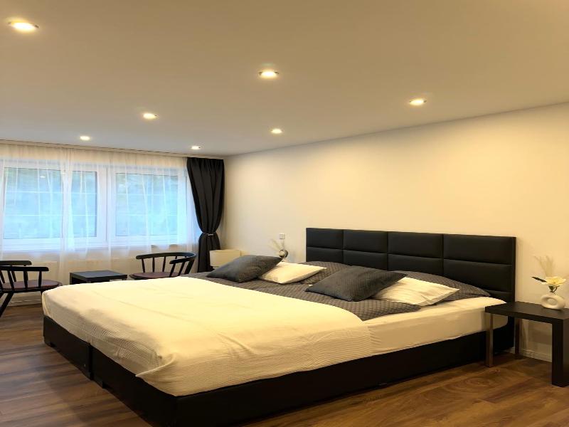 Hotel Zum Rittersprung image