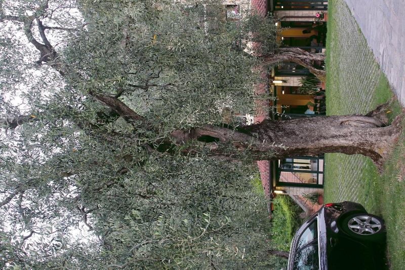 Hotel Veronesi image
