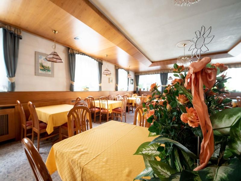 Hotel Alpe image