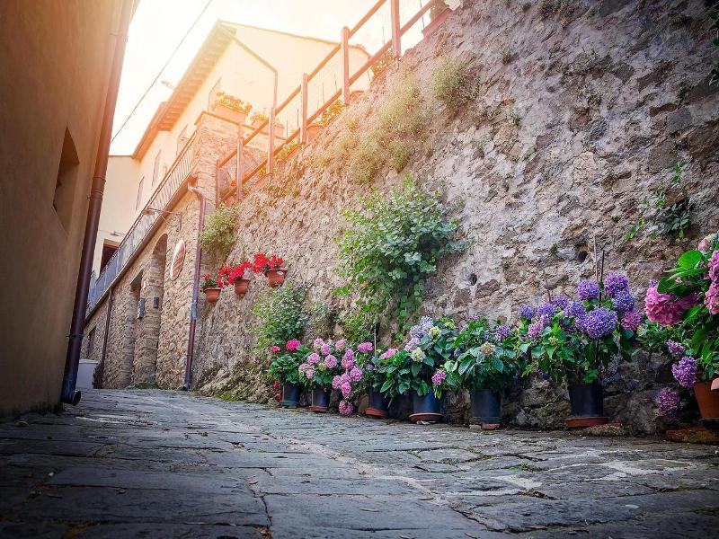 San Gennaro Castello image