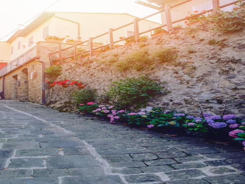 San Gennaro Castello image