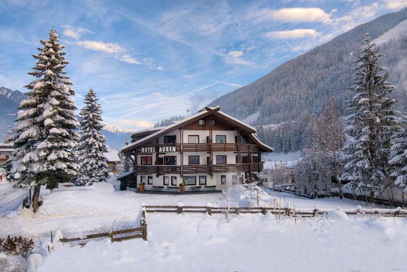 Hotel Auren image