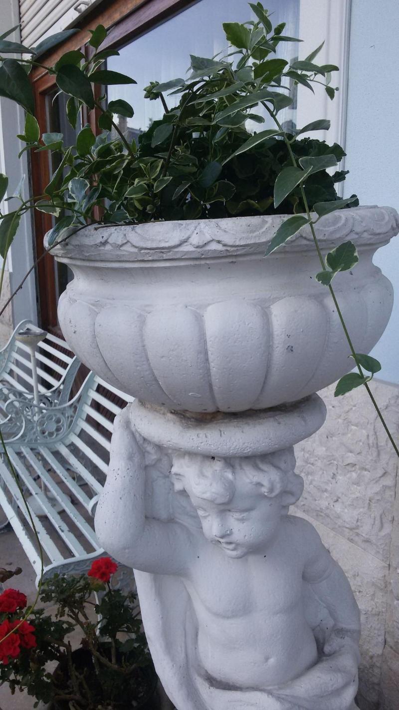 Villa Fiorita image