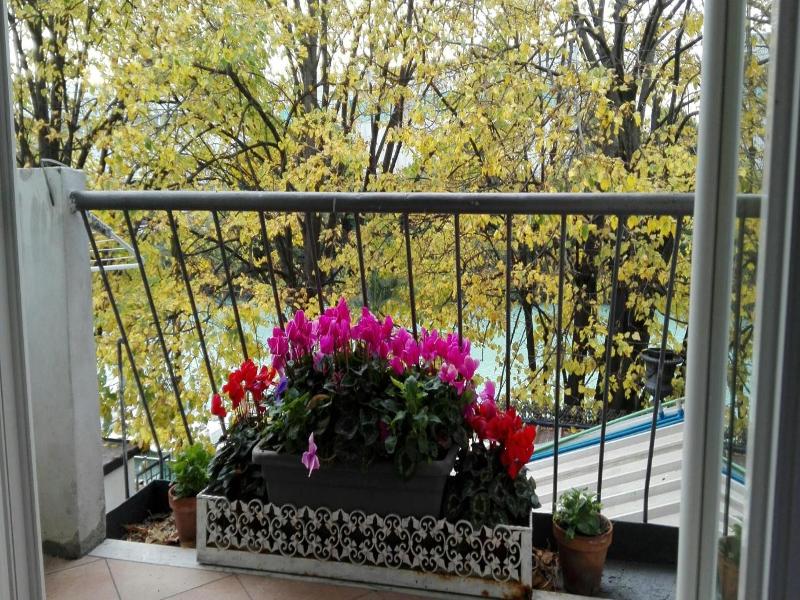 Villa Fiorita image
