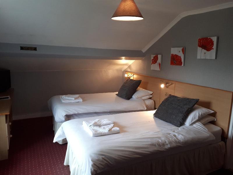 George Borrow Hotel image