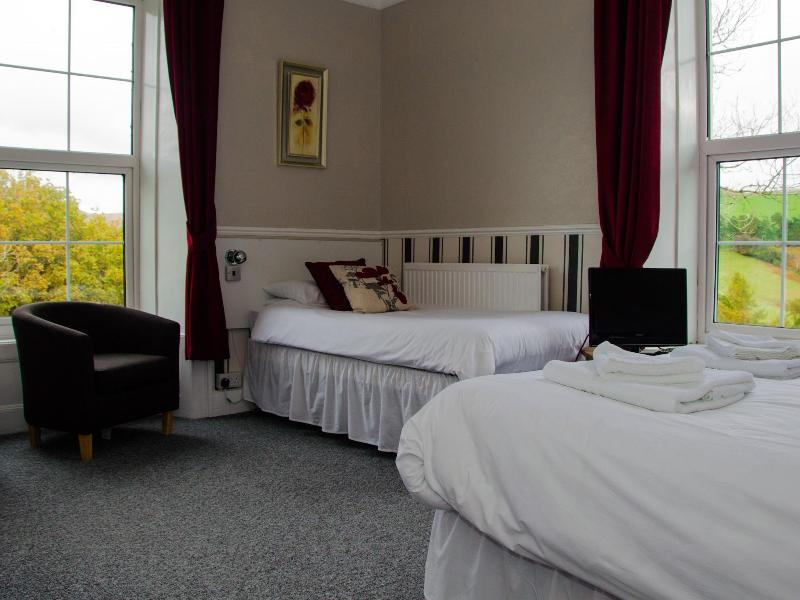George Borrow Hotel image