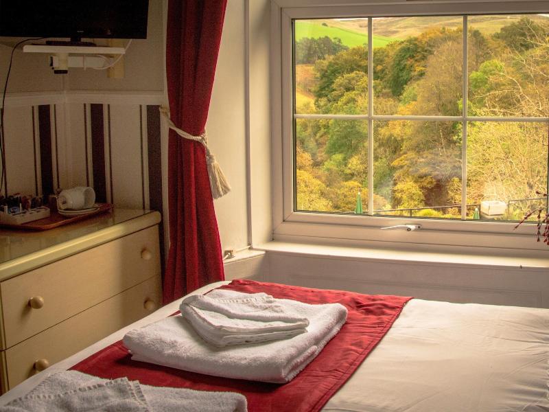 George Borrow Hotel image