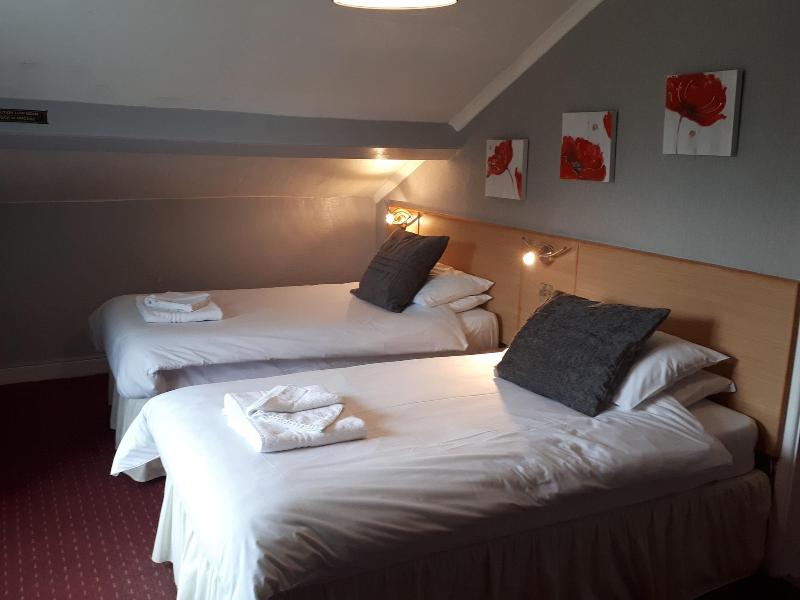George Borrow Hotel image
