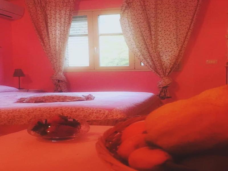 B&B Xenia image