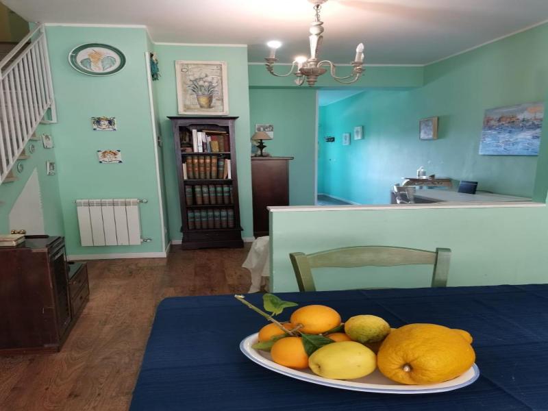 B&B Xenia image