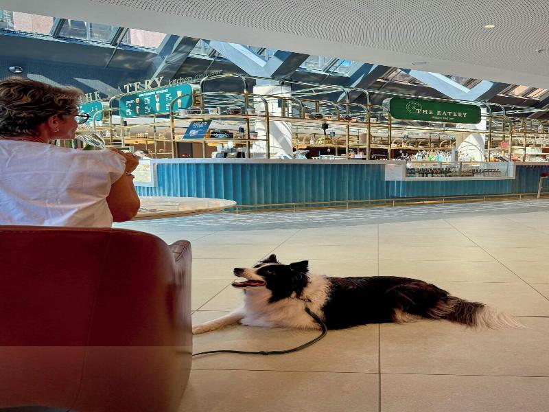 Frankfurt Airport Marriott Hotel image
