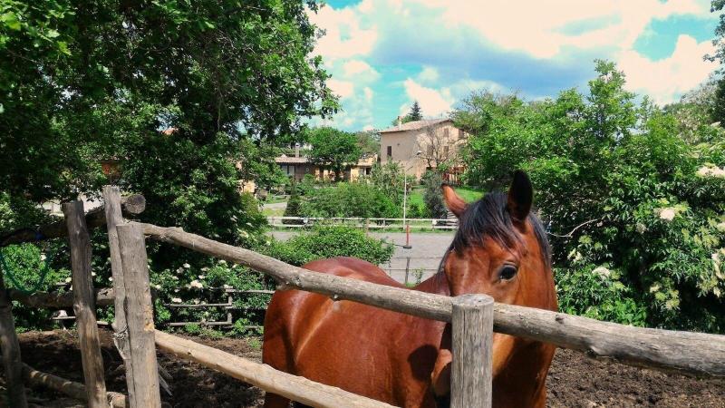 Agriturismo San Filippo image