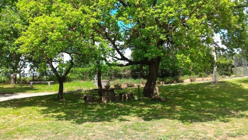 Agriturismo San Filippo image