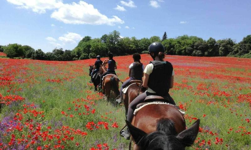 Agriturismo San Filippo image