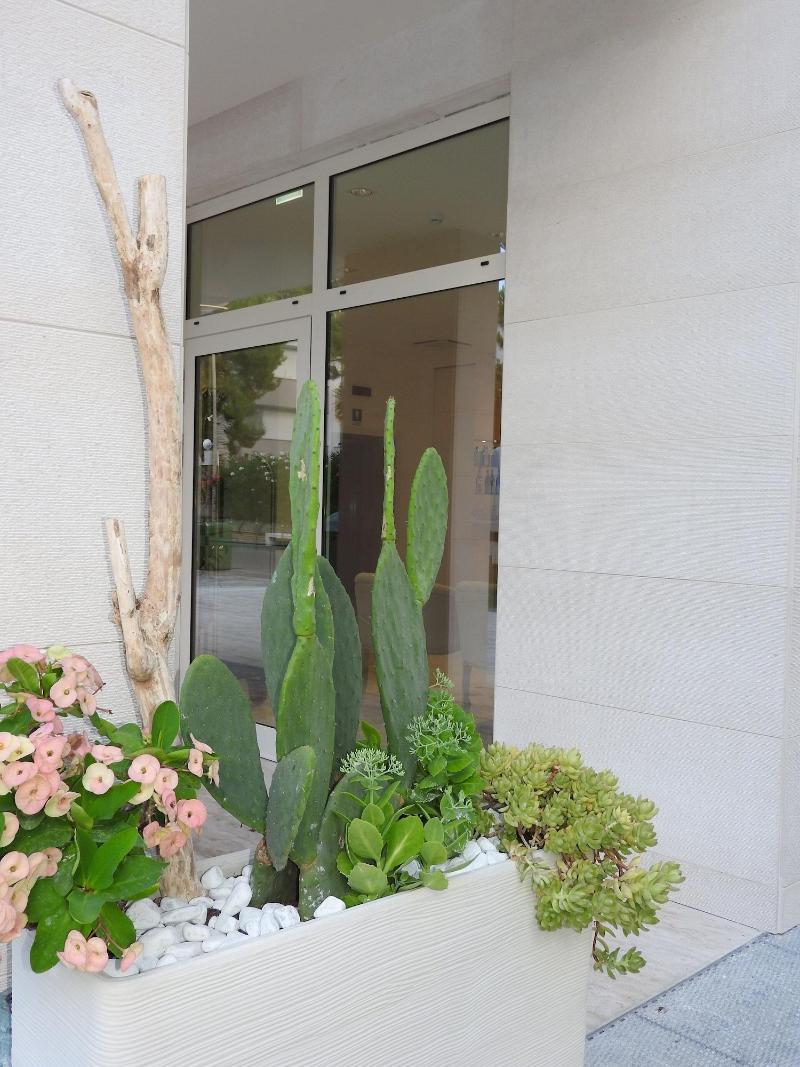 Hotel Carducci image
