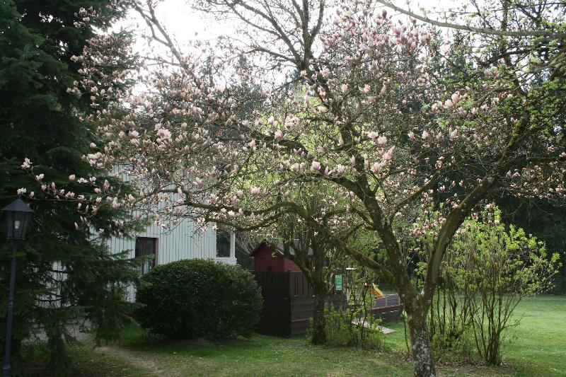 Waldpension Jägerstüberl image