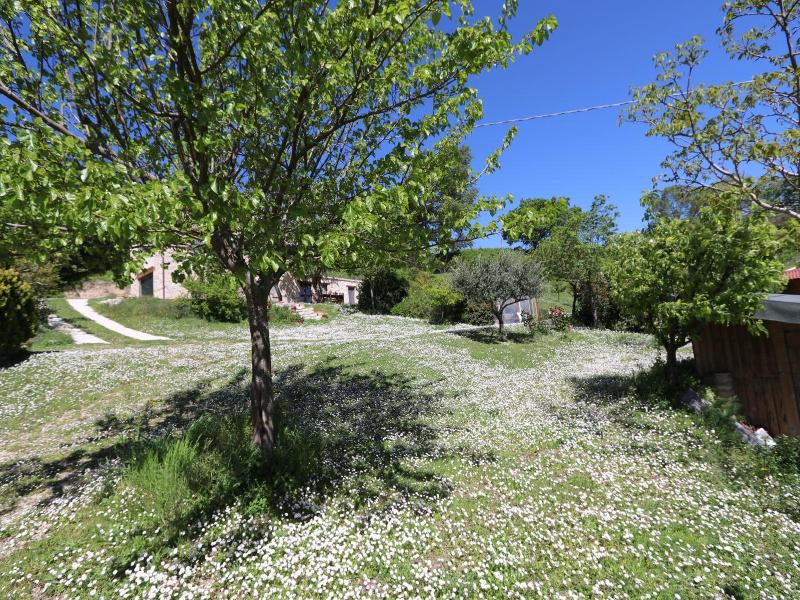 Agriturismo Bosimano image