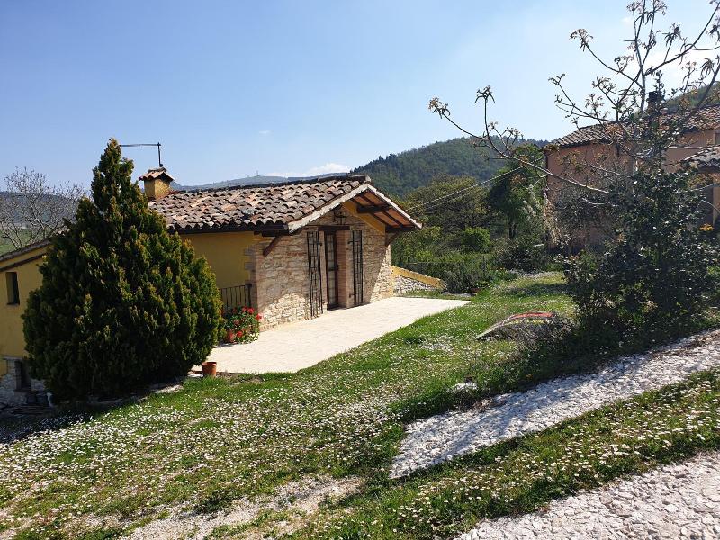 Agriturismo Bosimano image
