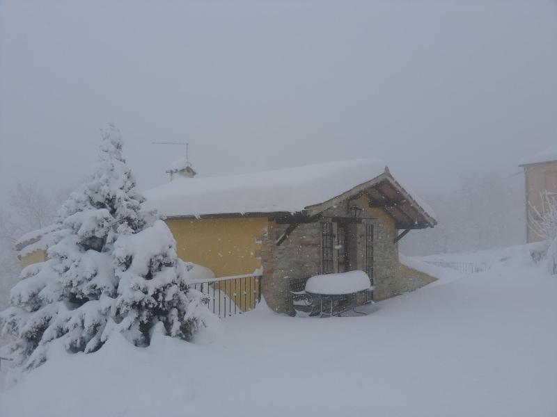 Agriturismo Bosimano image
